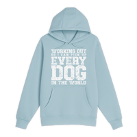 Unisex Small Blue Mist Pullover Hooded Sweatshirt
