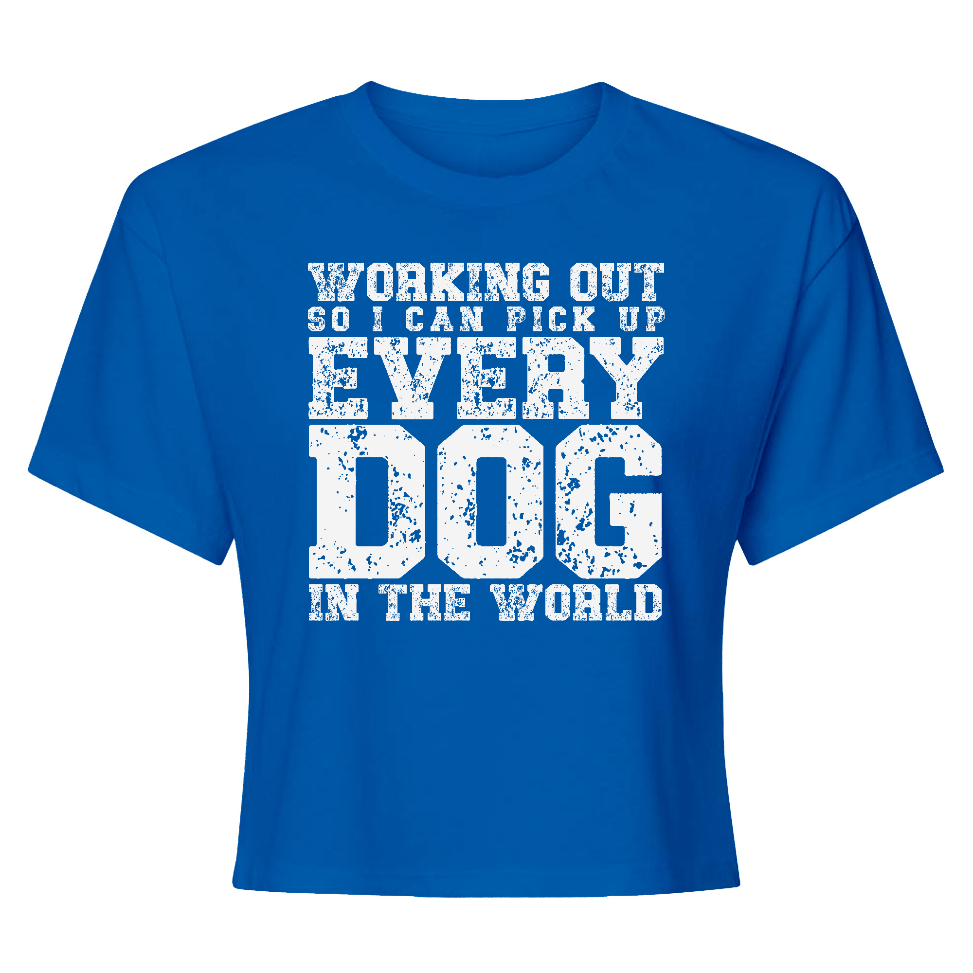 Womens X-Small Royal Style_T-Shirt