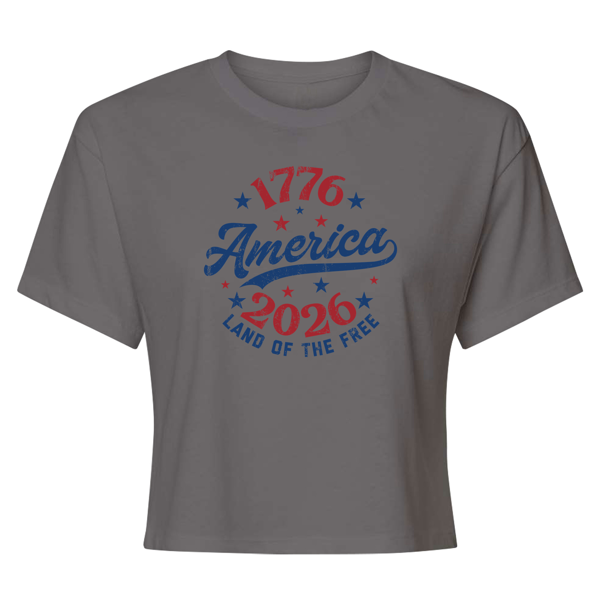 Womens X-Small Dark Grey Style_T-Shirt