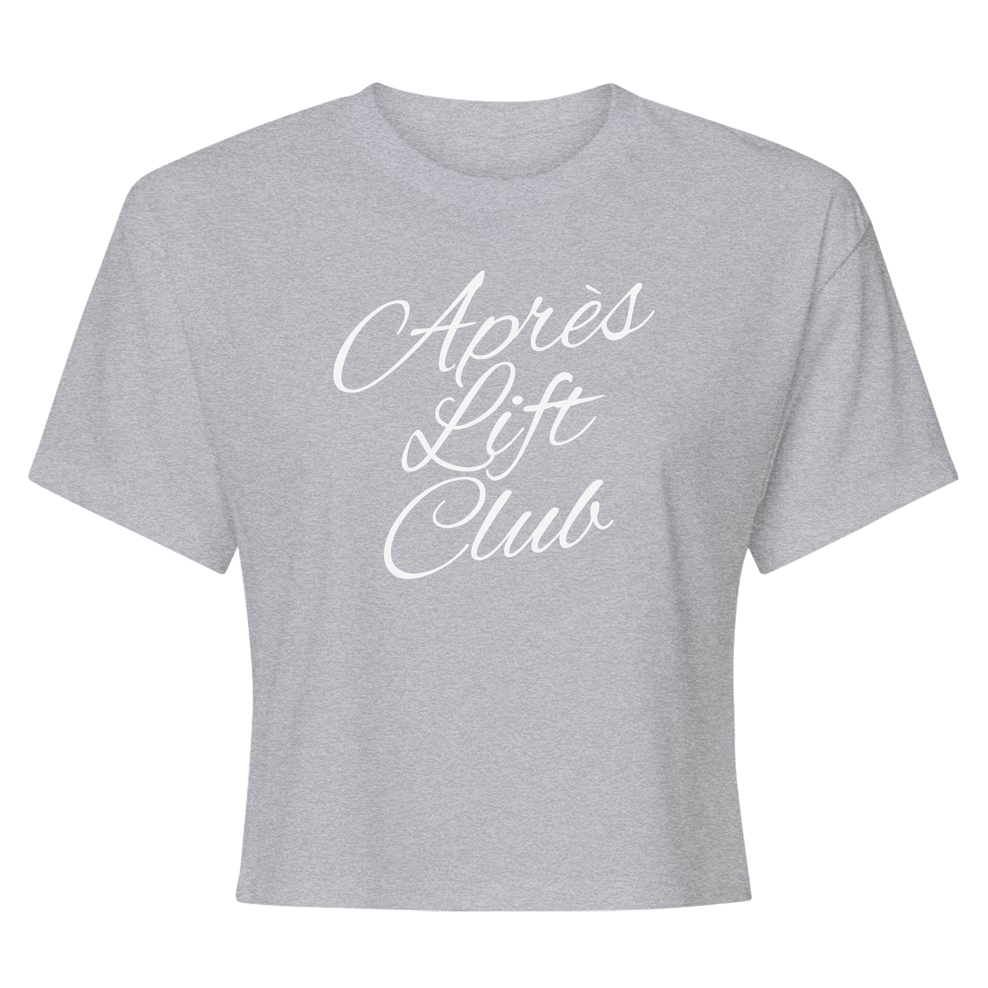 Womens X-Small Heather Gray Style_T-Shirt